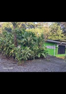 Manzanillo Apartment | Casa,del vozque