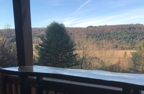 Franklin Ski Chalet | Catskill BoHo 2 Bedroom 2Bath Chalet 20 minutes from Baseball camp