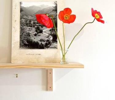 Dunedin House | Character Harbour Retreat