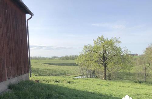 Lidkoping House | Charming and spacious villa near Lidköping
