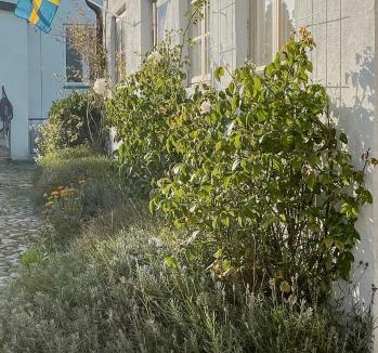 Kopingebro House | Charming Family House Near Ystad's Sandy Beaches