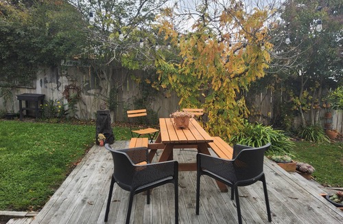 Nelson House | Comfortable,spacious,light filled and unique home. Pet friendly.