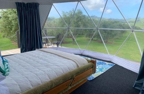 Mangonui Other | Dome on Leccino