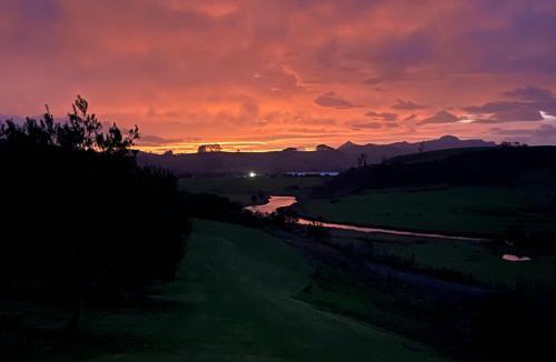 Mangonui Other | Dome on Leccino