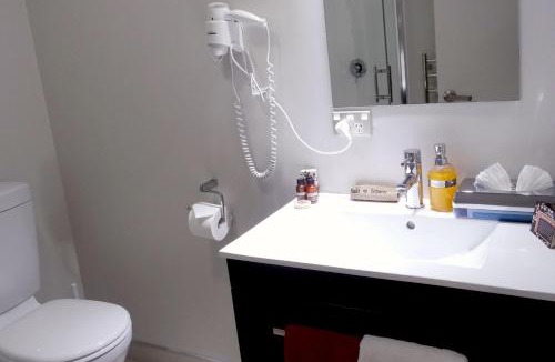 Dunedin City Centre Hotel | Dunedin Palms Motel