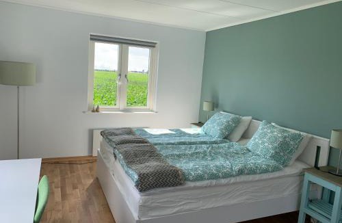 Lund House | Field View Nest