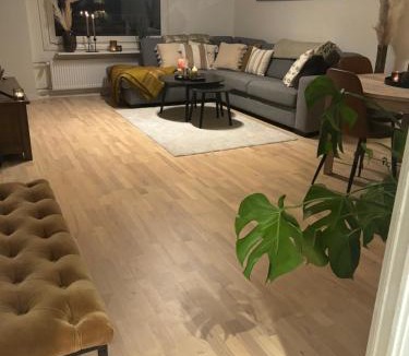 Fyllingsdalen Apartment | Fin leilighet nært alt