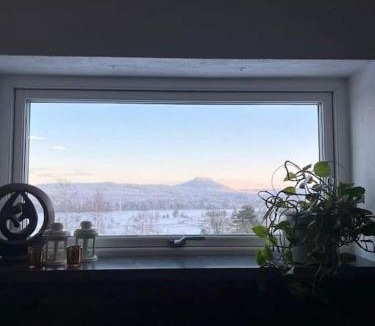 Jarvso Villa | Fint hus nära Järvsöbacken