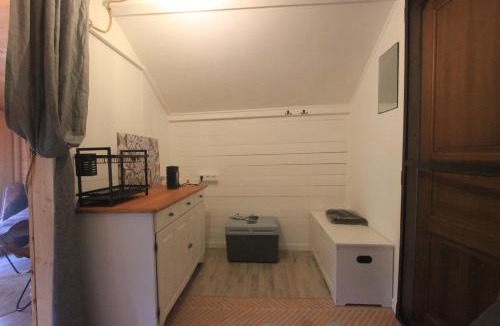 Asele House | Forest Shed