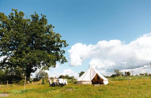 Eksjo Other | Glamping in Småland