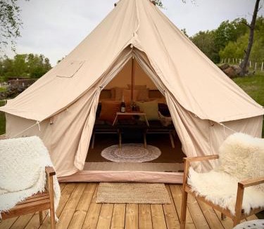 Laholm Other | Glamping med alpackor
