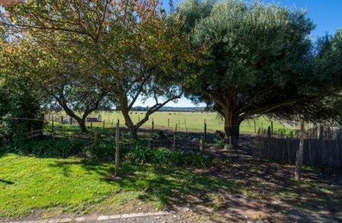 Turangi House | Grace Cottage