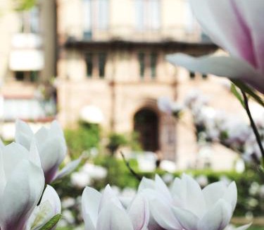 Lund Hotel | Grand Hotel Lund