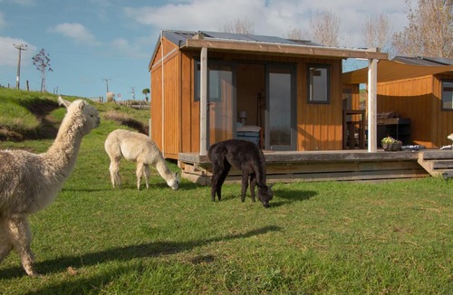 Kaiwaka Other | HavenRidge Alpaca Glamping Cabins