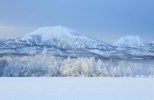 Niseko Hotel | Henry