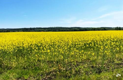 Eldsberga House | Holiday accommodation in Eldsberga near Halmstad