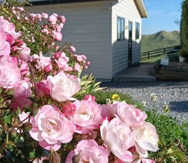Rangitikei Bed & Breakfast | Hopwood Bed & Breakfast