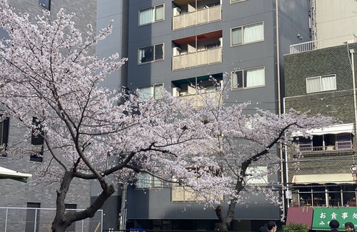 Nishi Apartment | HOTEL ffosaka.com