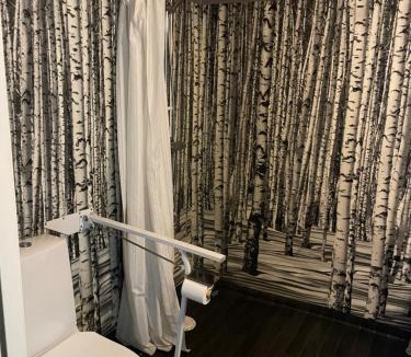 Pajala Hotel | Hotell Smedjan