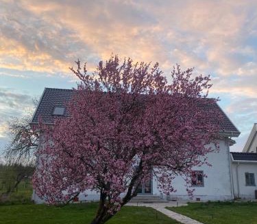 Klintehamn House | Isomegård Väte Gotland