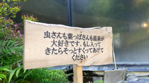 Kikuchi Hotel | Kikuchi Sasanoya