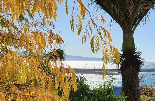 Stepneyville Apartment | Kimberley Two - Nelson Waterfront Apartment