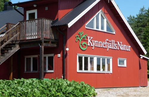 Hedekas Bed & Breakfast | KynnefjällsNatur