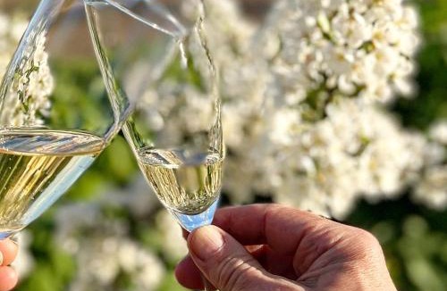 Stenstorp Bed & Breakfast | Lavendeltorpet