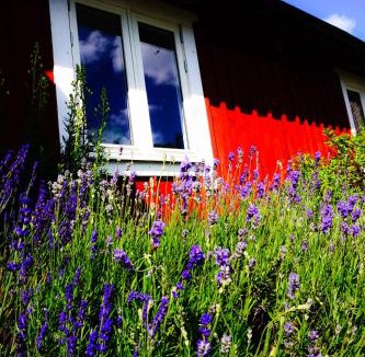 Perstorp House | Liten Päronträdgård