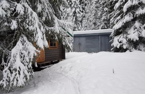 Salen Cabin | Liten timmerstuga i Sälen