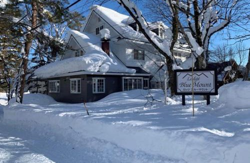 Hakuba Cabin | Lodge Blue Mount Hakuba