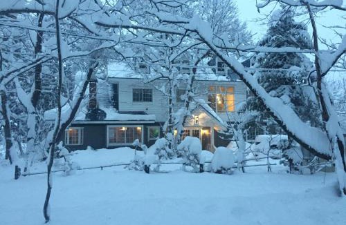 Hakuba Cabin | Lodge Blue Mount Hakuba
