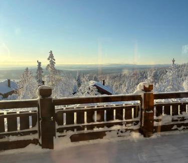 Akrestrømmen House | Log Cabin With Panoramic Views Near Renåfjellet