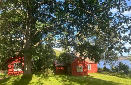 Dals Langed House | Lommen
