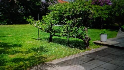 Bunkeflostrand Apartment | Malmo Spacious Villa - With Pool