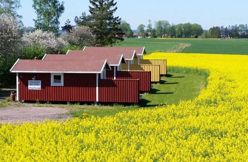 Axvall House | Mellomgården
