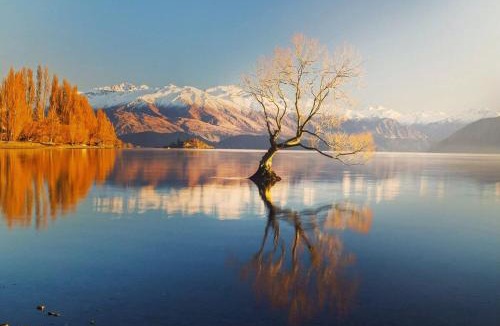 Albert Town House | Modern Townhouse, Alpine Views, Close To Wanaka