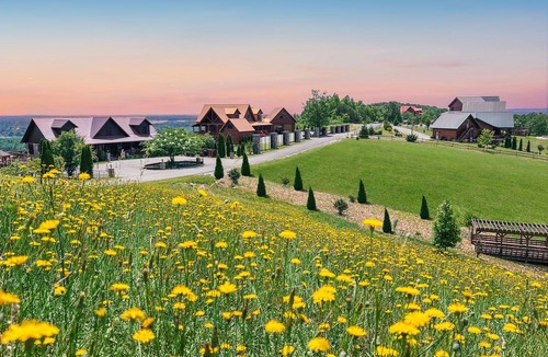 Dobson Cabin | MountainTop Compound Groups,Corporate Retreat,Weddings,Churches 10-40BR, 66 Beds