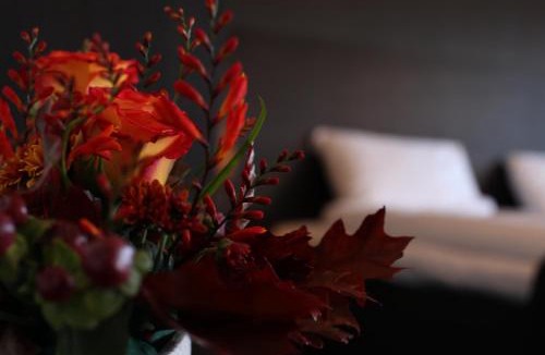 Ektorp Hotel | Nacka Stadshotell