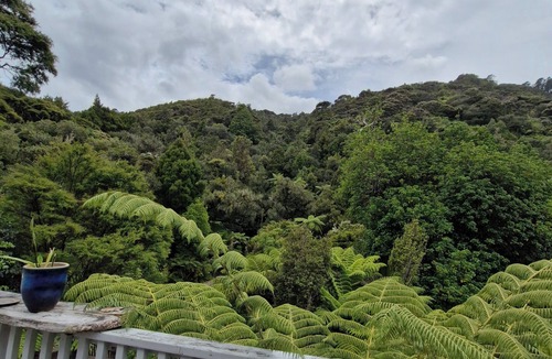 Amodeo Bay House | Nature at its Best - Native bush tranquil & secluded