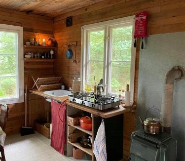 Simlangsdalen House | Off-Grid Cabin In Your Private Swedish Forest