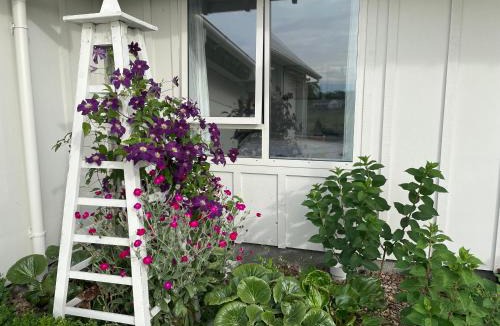 Ohoka Bed & Breakfast | Orbiter Garden