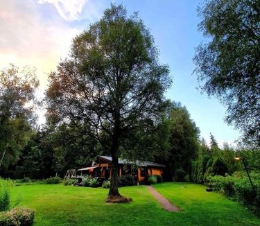 Ulricehamn House | Private Swedish Forest Cabin