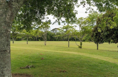 Tikipunga Apartment | Punga's Nest Summary: