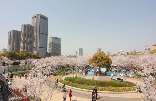 Miyakojima Hotel | Sakura Garden Hotel