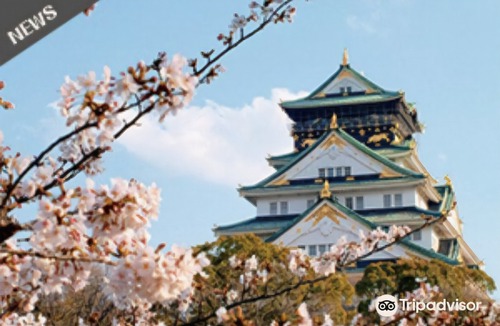 Miyakojima Hotel | Sakura Garden Hotel