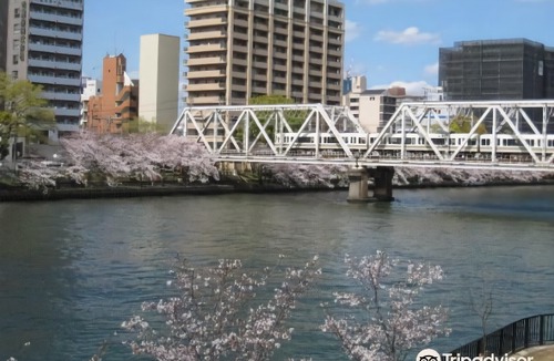 Miyakojima Hotel | Sakura Garden Hotel