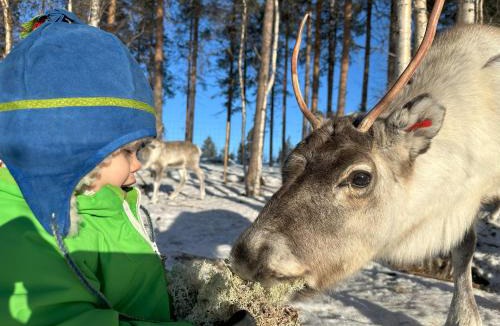 Norrbotten County Other | Skabram Camping & Stugby