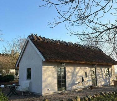 Trelleborg House | Stone House With Thatched Roof On 1750S Farm