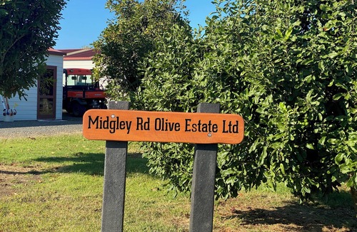 Mangonui Apartment | Studio in amongst olive trees and Macadamia trees Wake up to birds singing